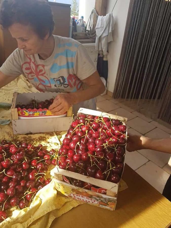 Agriturismo A Do' Cumparone Corbara  Ngoại thất bức ảnh