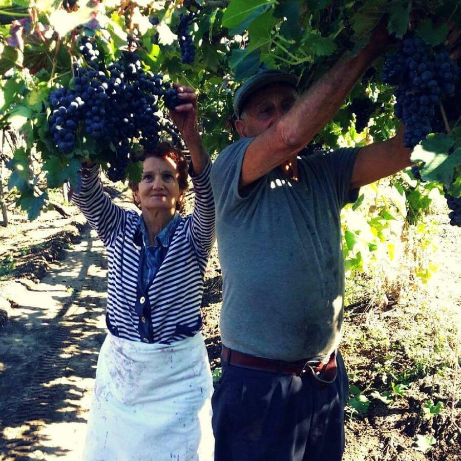 Agriturismo A Do' Cumparone Corbara  Ngoại thất bức ảnh