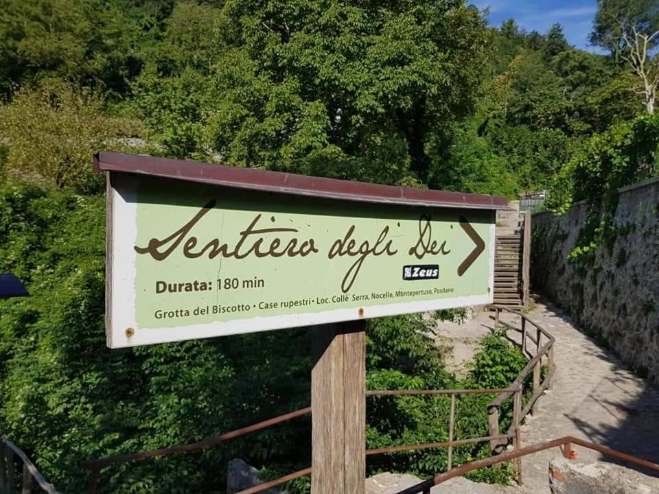 Agriturismo A Do' Cumparone Corbara  Ngoại thất bức ảnh