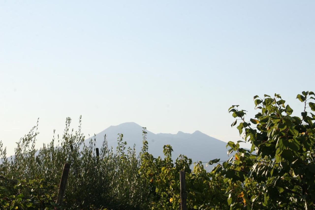 Agriturismo A Do' Cumparone Corbara  Ngoại thất bức ảnh